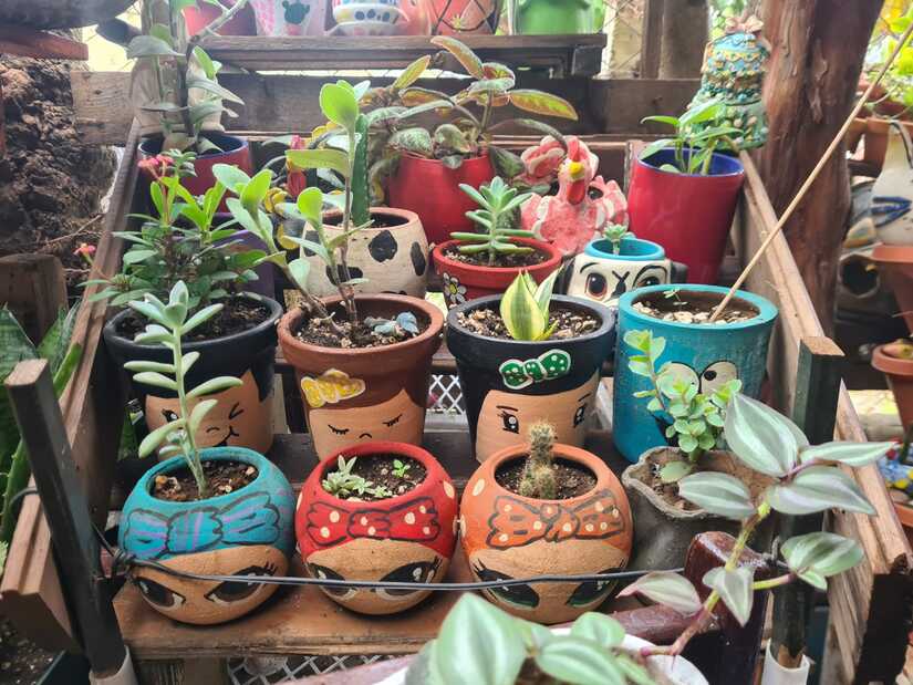 jardines