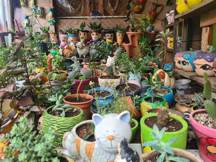 jardines