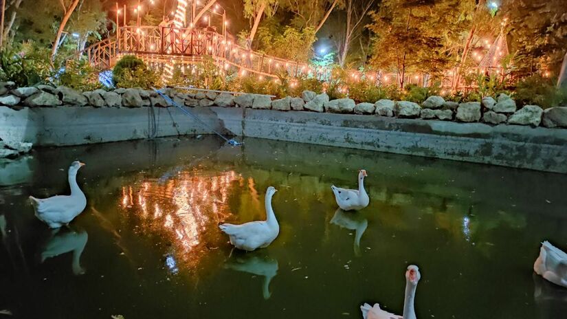 parque