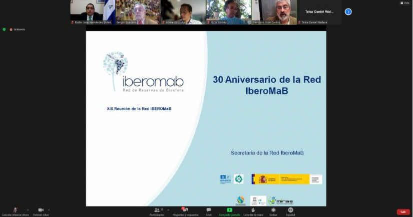 iberomab