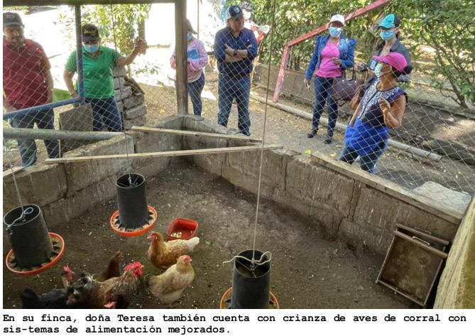mujeres
