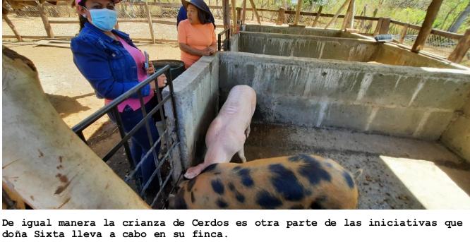 mujeres