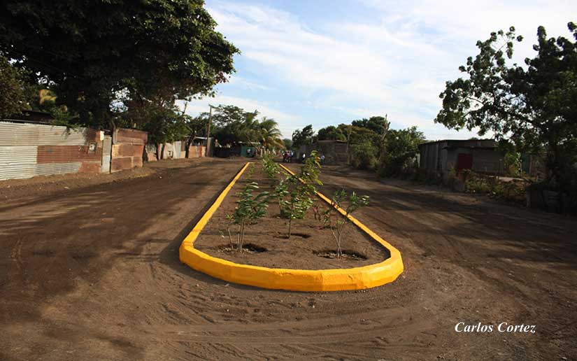 CAMINO