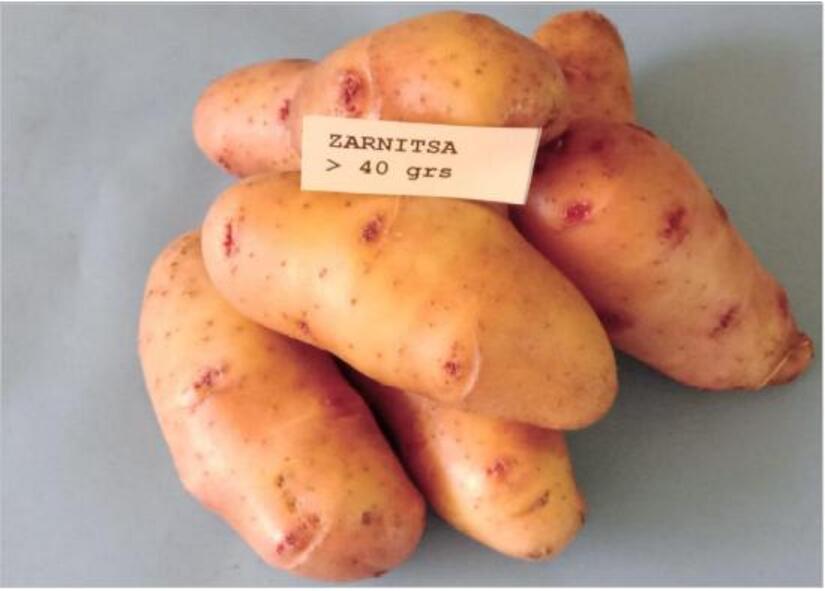 papas