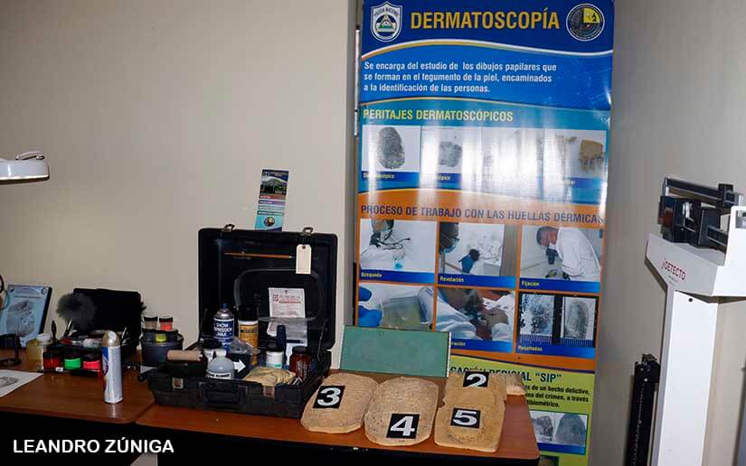 criminalistica