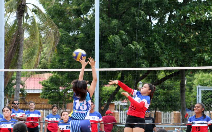 voleibol
