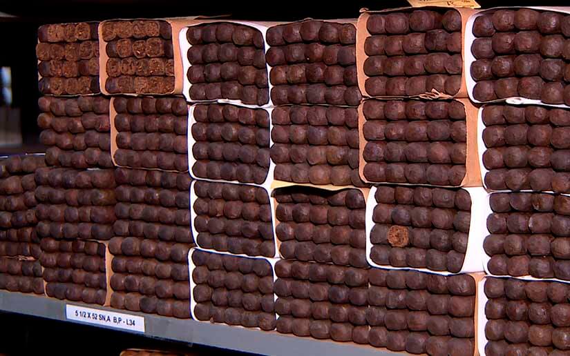 tabaco