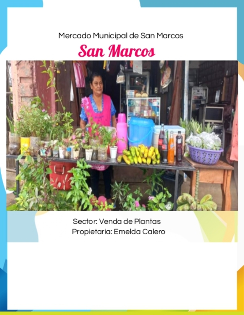 tramos
