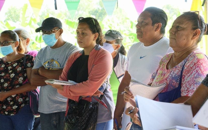 vitro