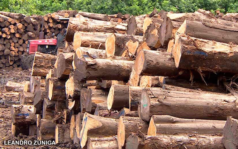 madera