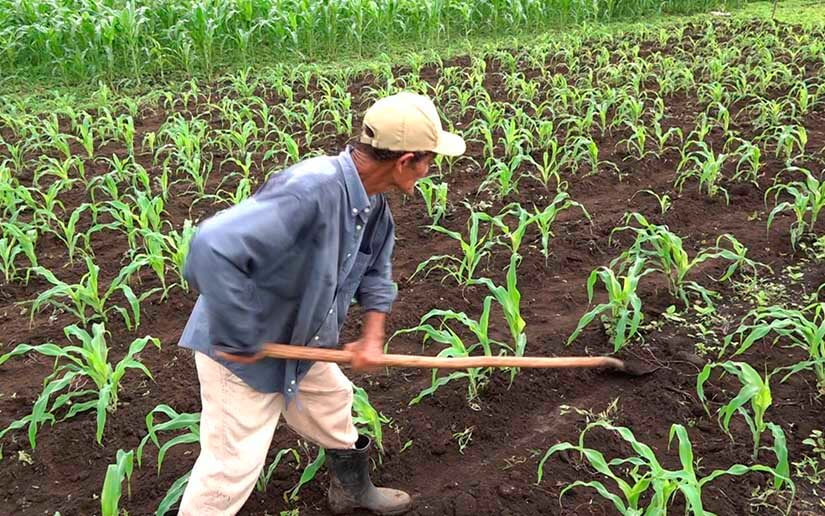 RIVAS