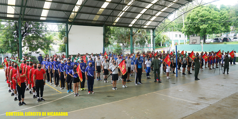 voleibol
