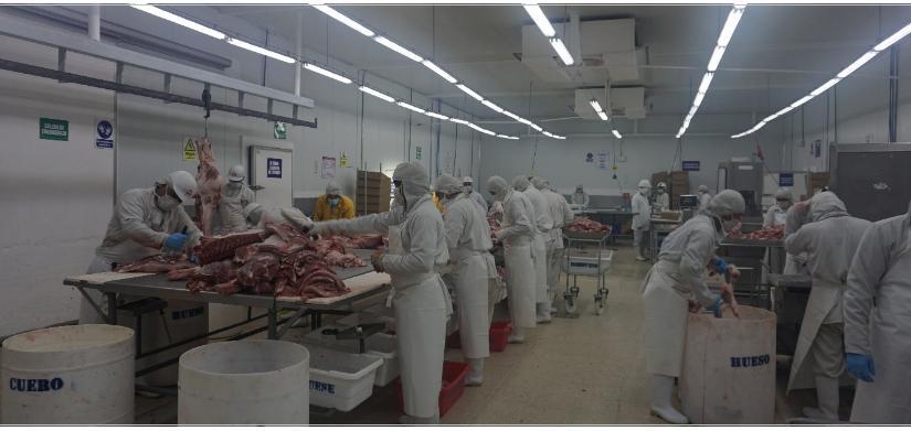 carne