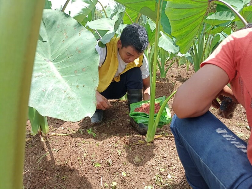 agro