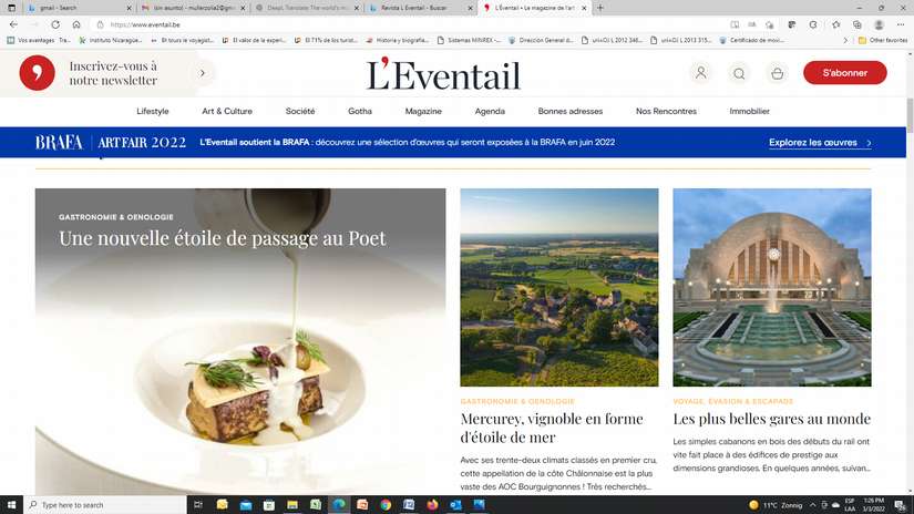 revista