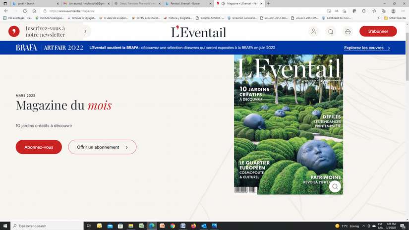 revista