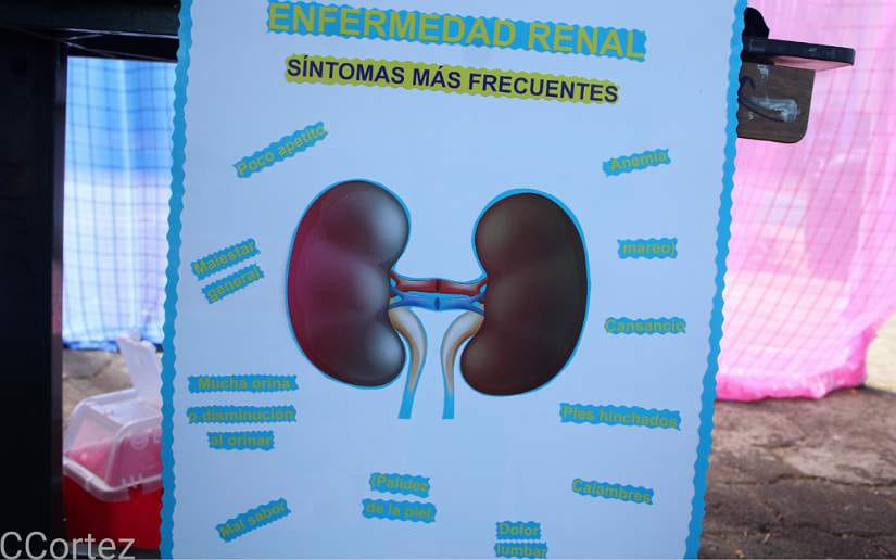 enfermedad-renal