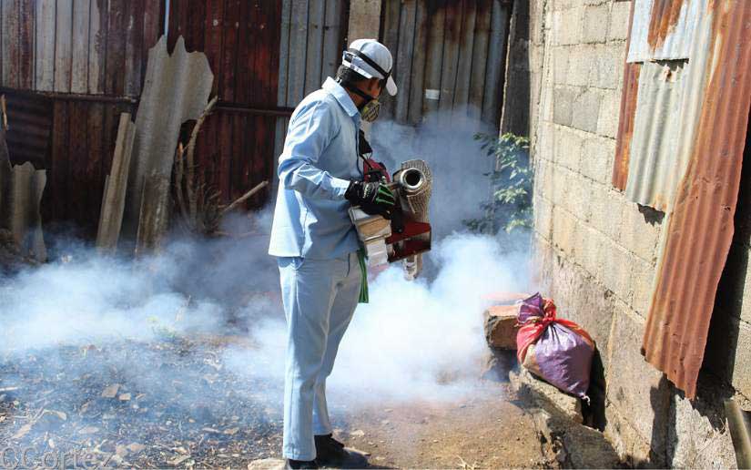 fumigacion