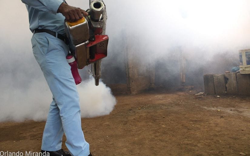 fumigacion