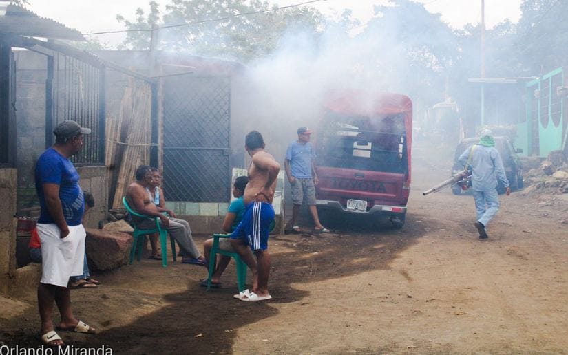 fumigacion