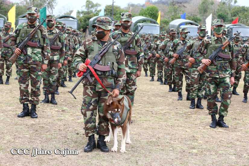 ejercito-cosecha