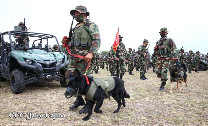 ejercito-cosecha