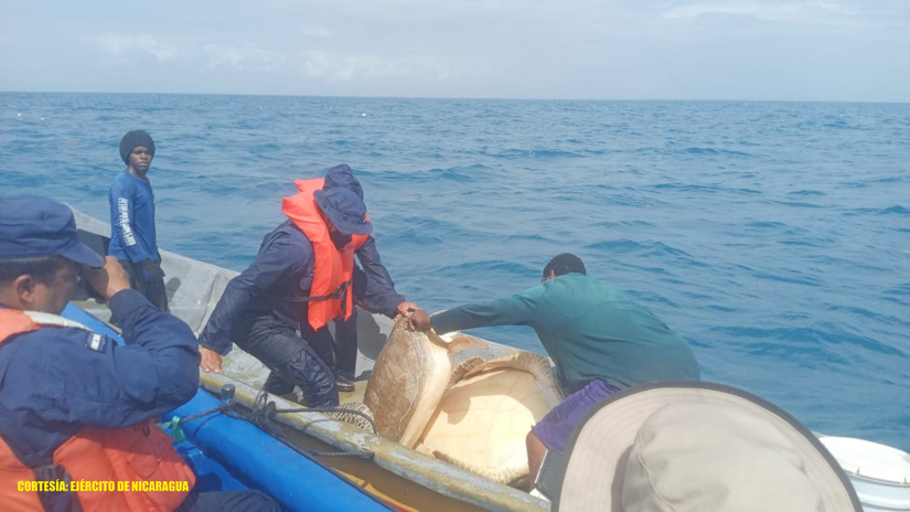 inpesca