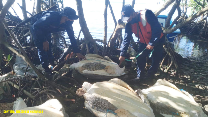 inpesca
