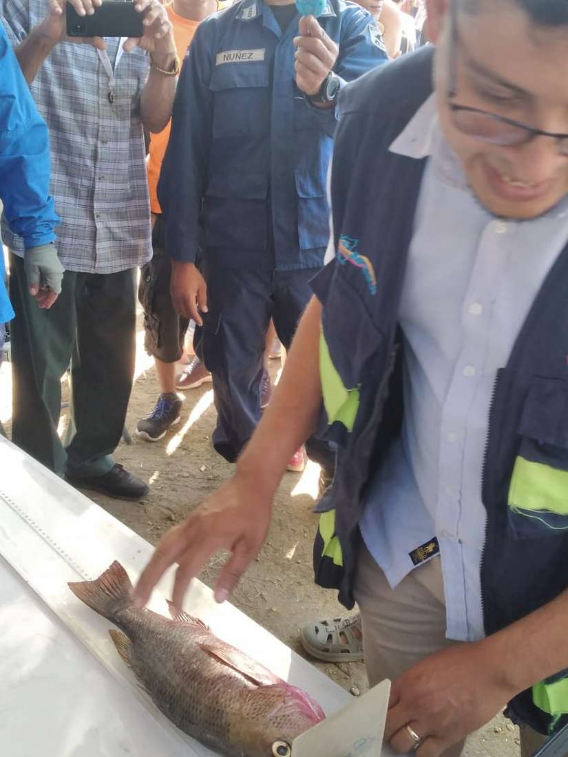 PESCA