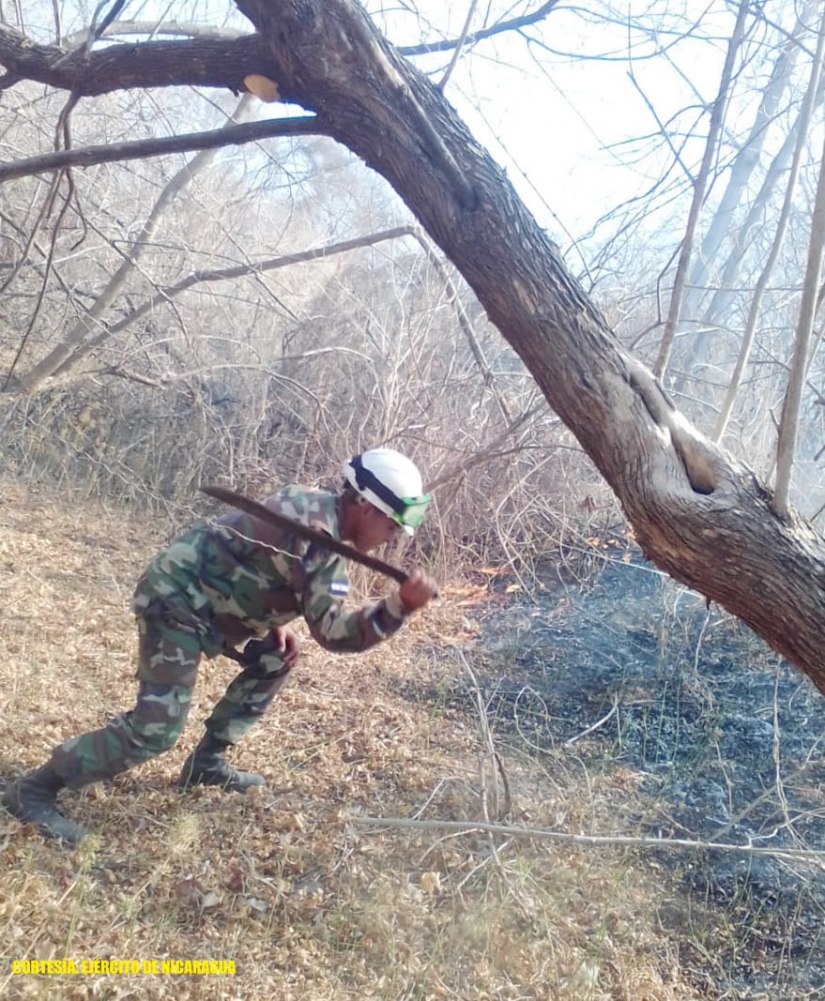 ejercito