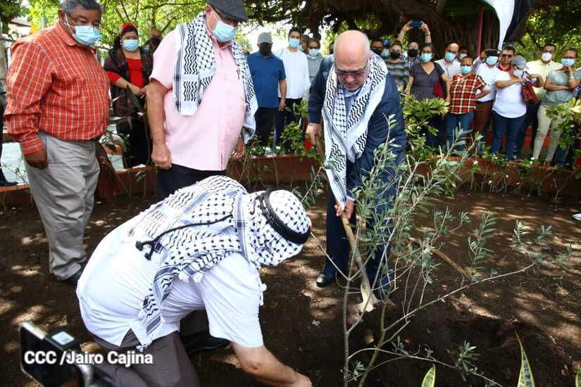 palestina