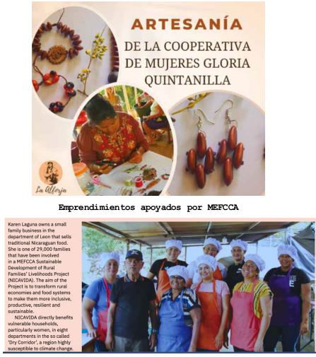 revista