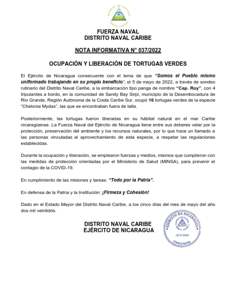 tortugas