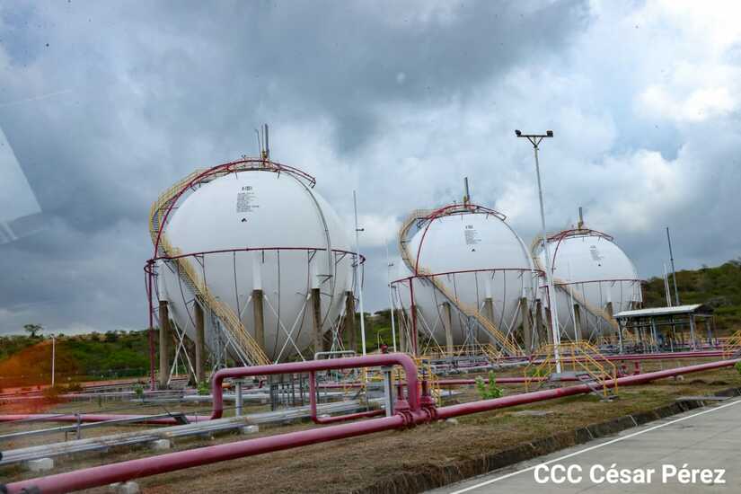 planta-gas
