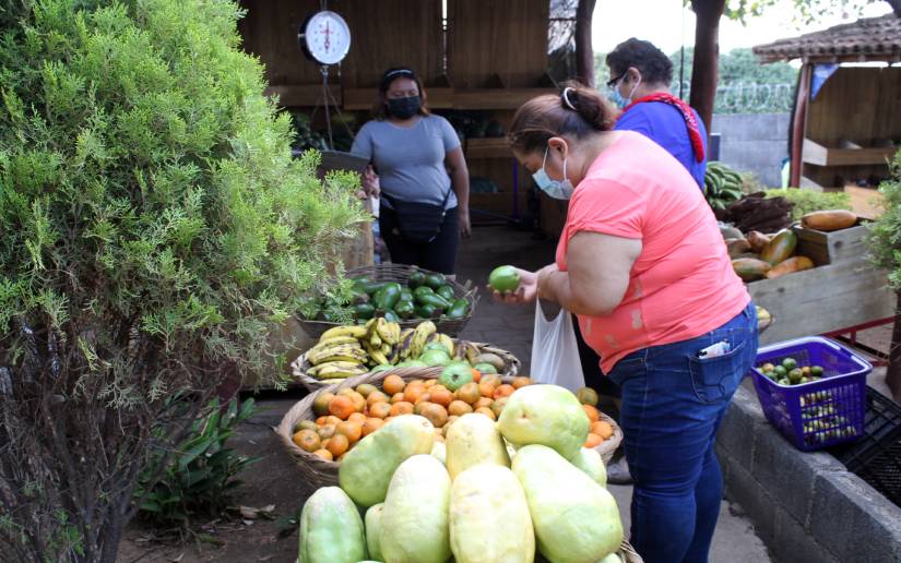 ferias
