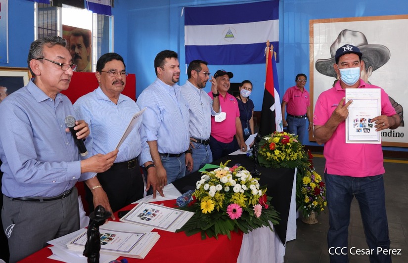 cooperativa