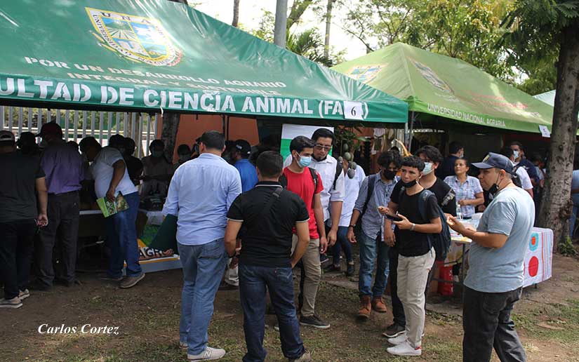 CONCURSO