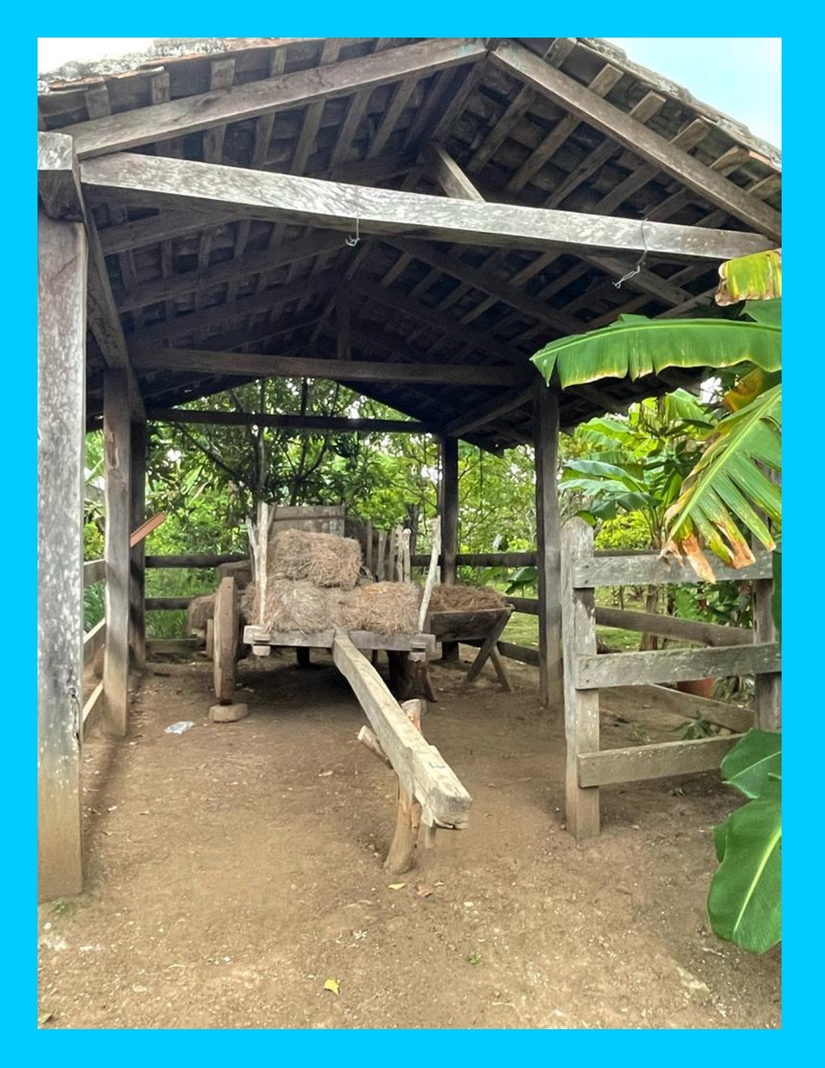 galeria