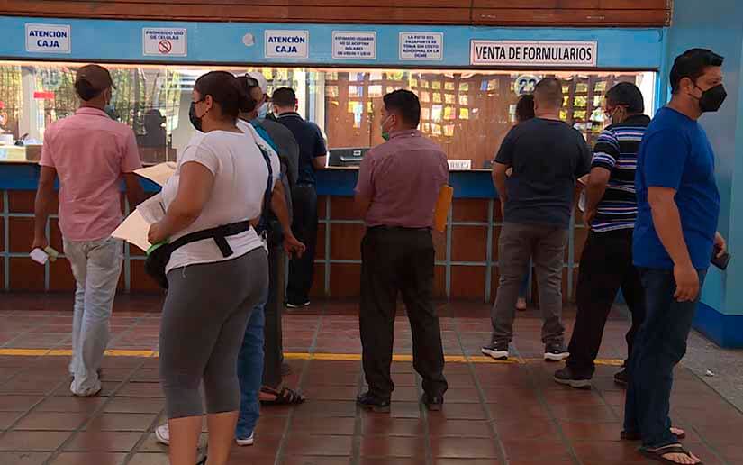 migracion