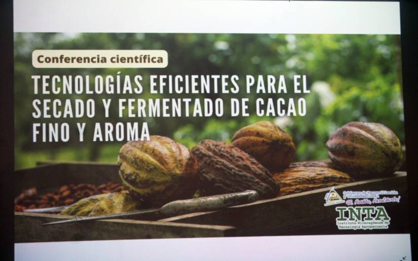 CACAO