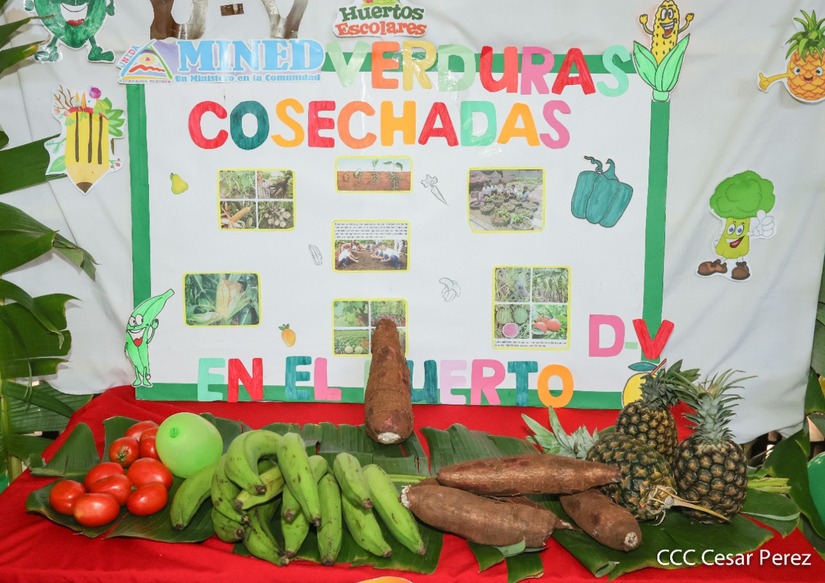 huertos