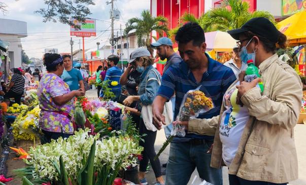 flores