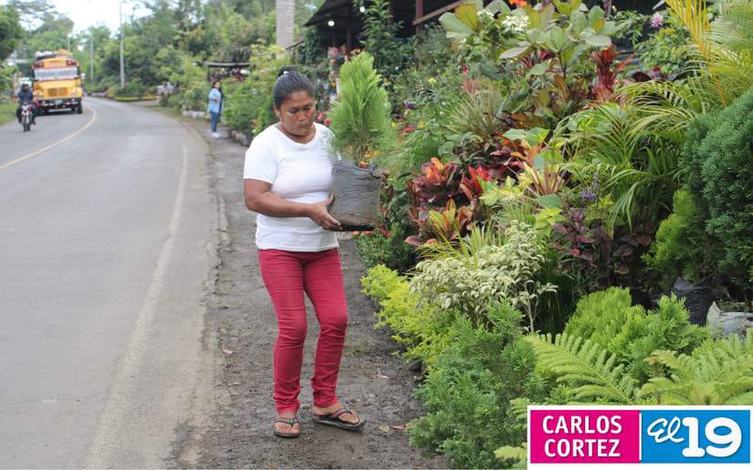 vivero