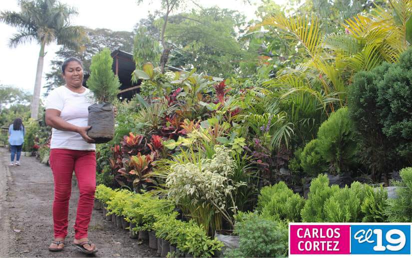 vivero