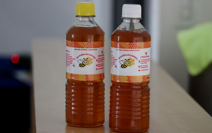 ABEJAS