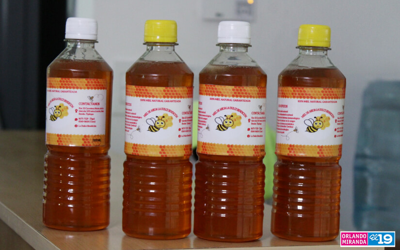 ABEJAS