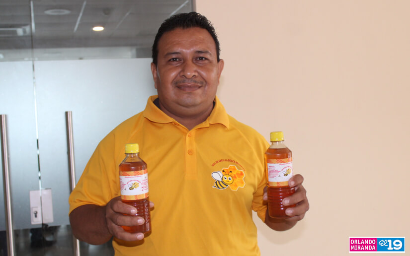 ABEJAS