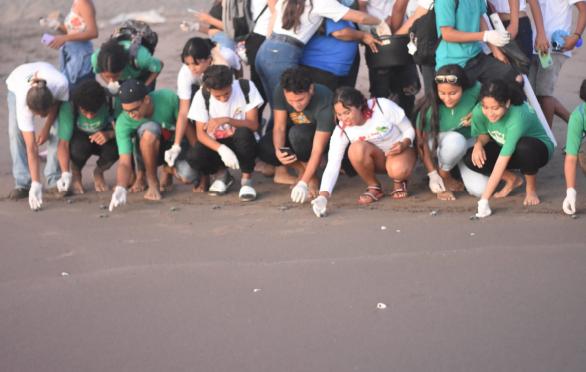TORTUGAS