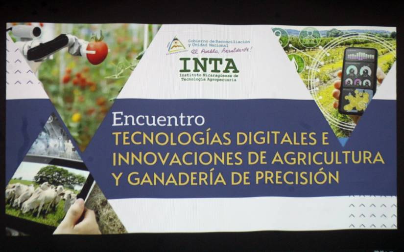 inta