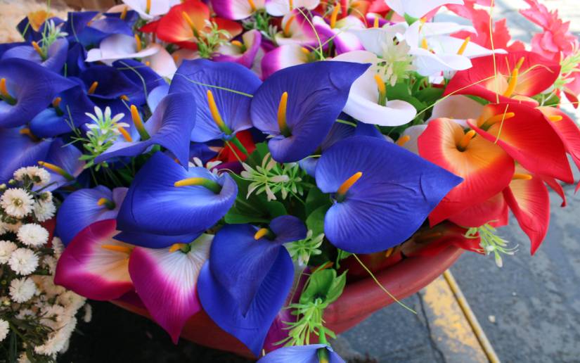 cementerio